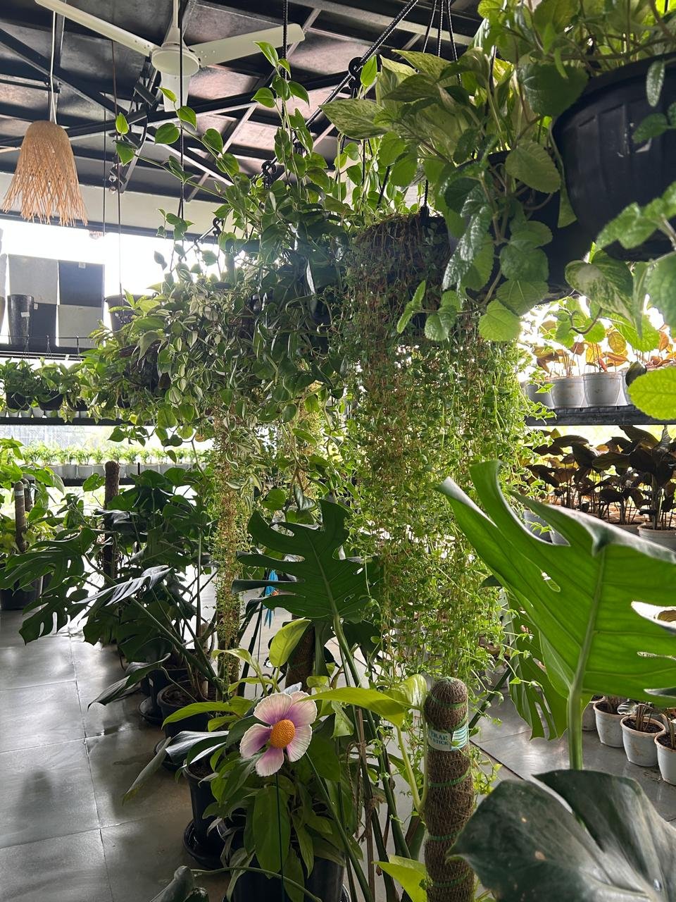 WhatsApp Image 2026-02-04 at 5.17.08 PM (1)