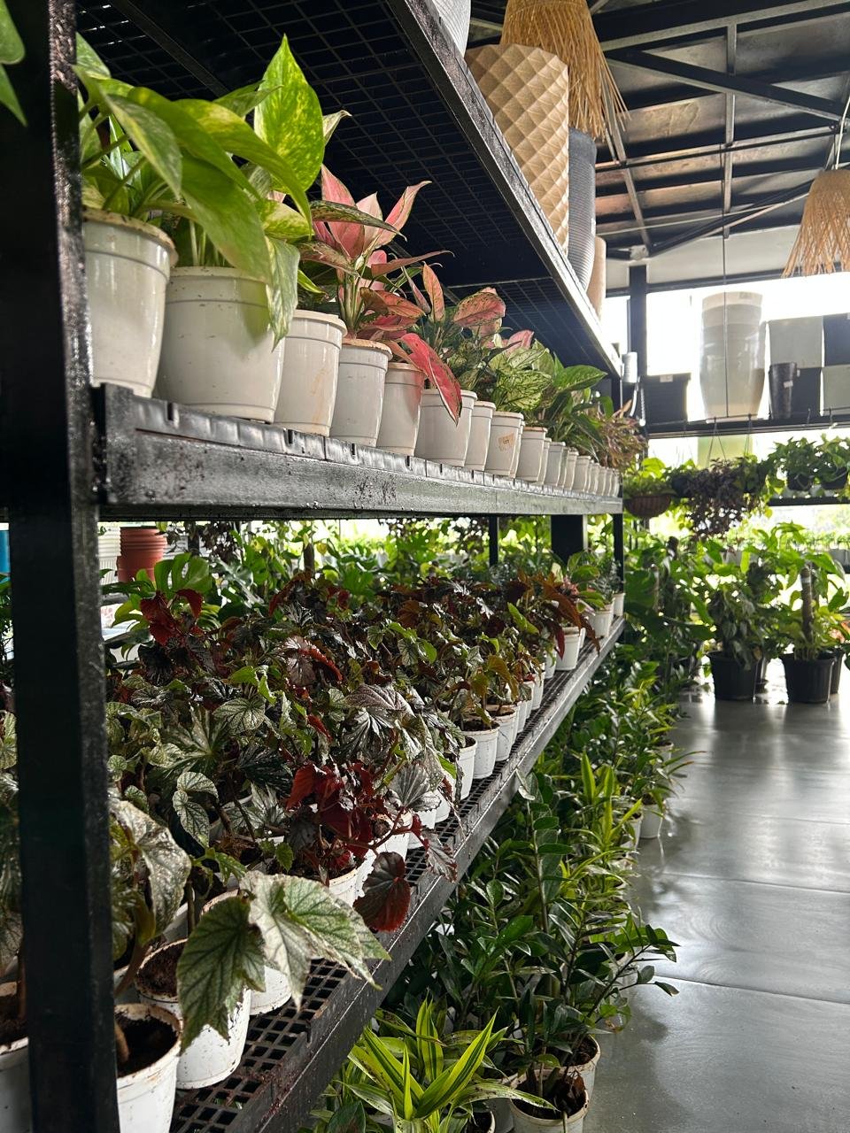 WhatsApp Image 2026-02-04 at 5.17.08 PM