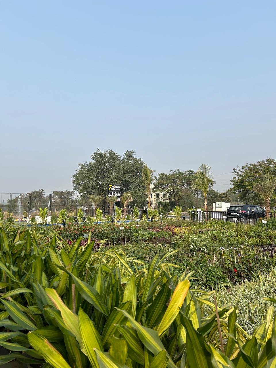 WhatsApp Image 2026-02-04 at 5.17.09 PM (3)