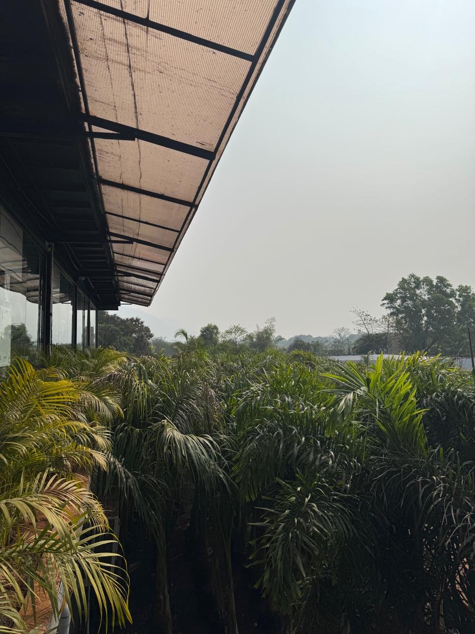 WhatsApp Image 2026-02-04 at 5.17.10 PM