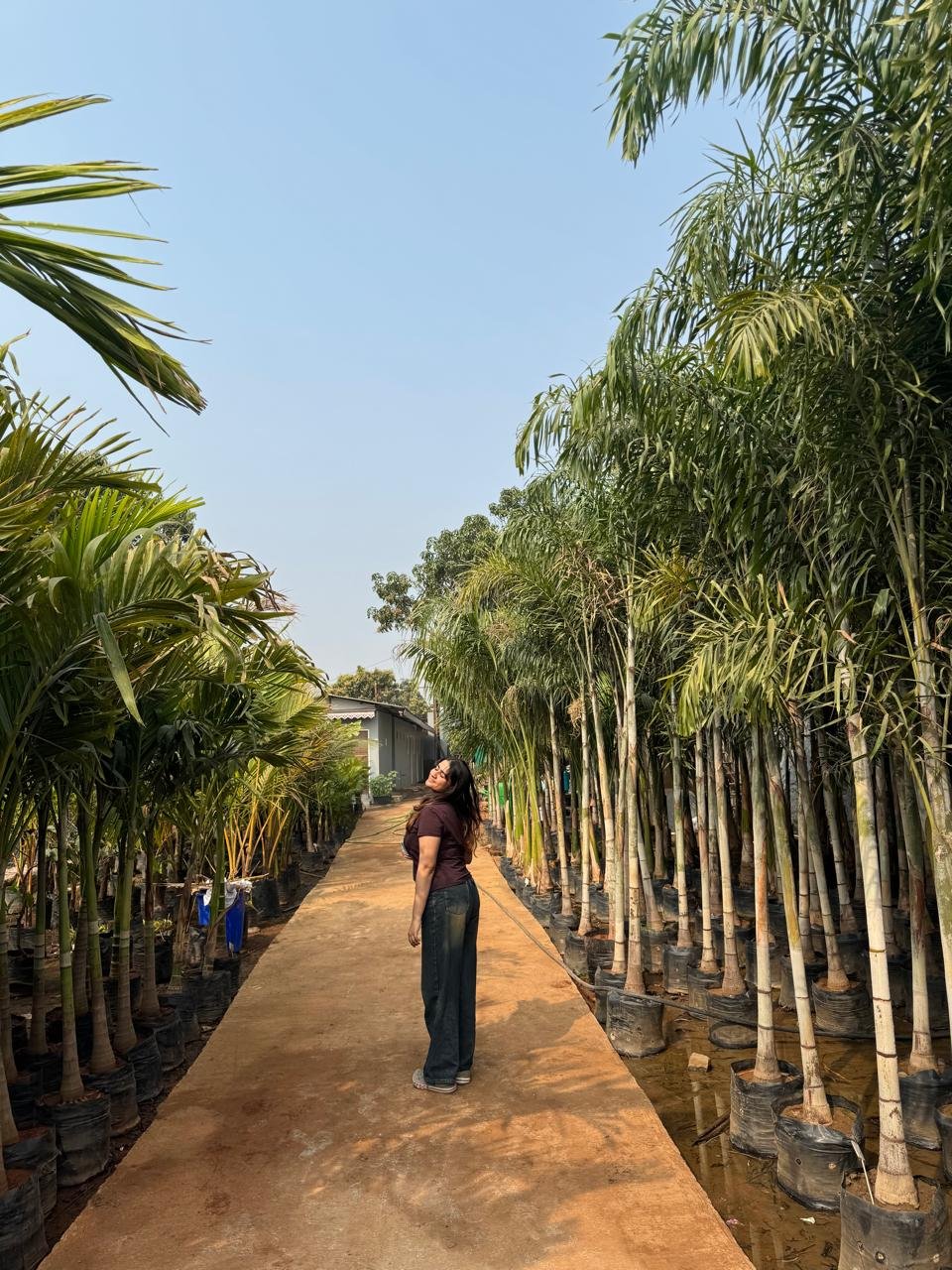 WhatsApp Image 2026-02-04 at 5.17.11 PM (1)