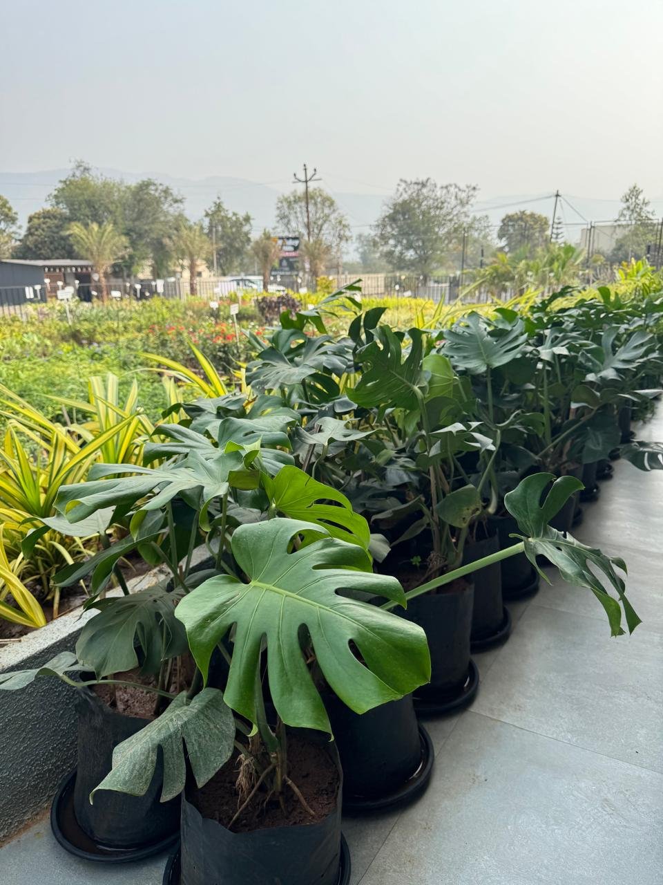 WhatsApp Image 2026-02-04 at 5.17.11 PM (2)