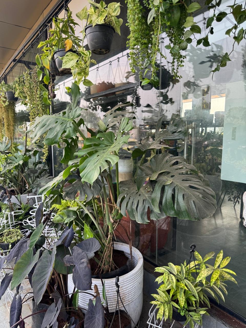 WhatsApp Image 2026-02-04 at 5.17.11 PM (3)