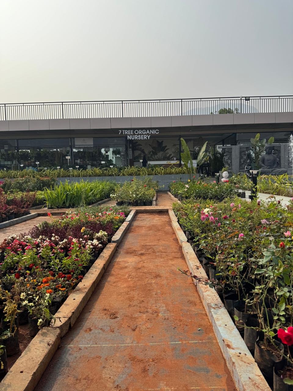 WhatsApp Image 2026-02-04 at 5.17.12 PM (2)