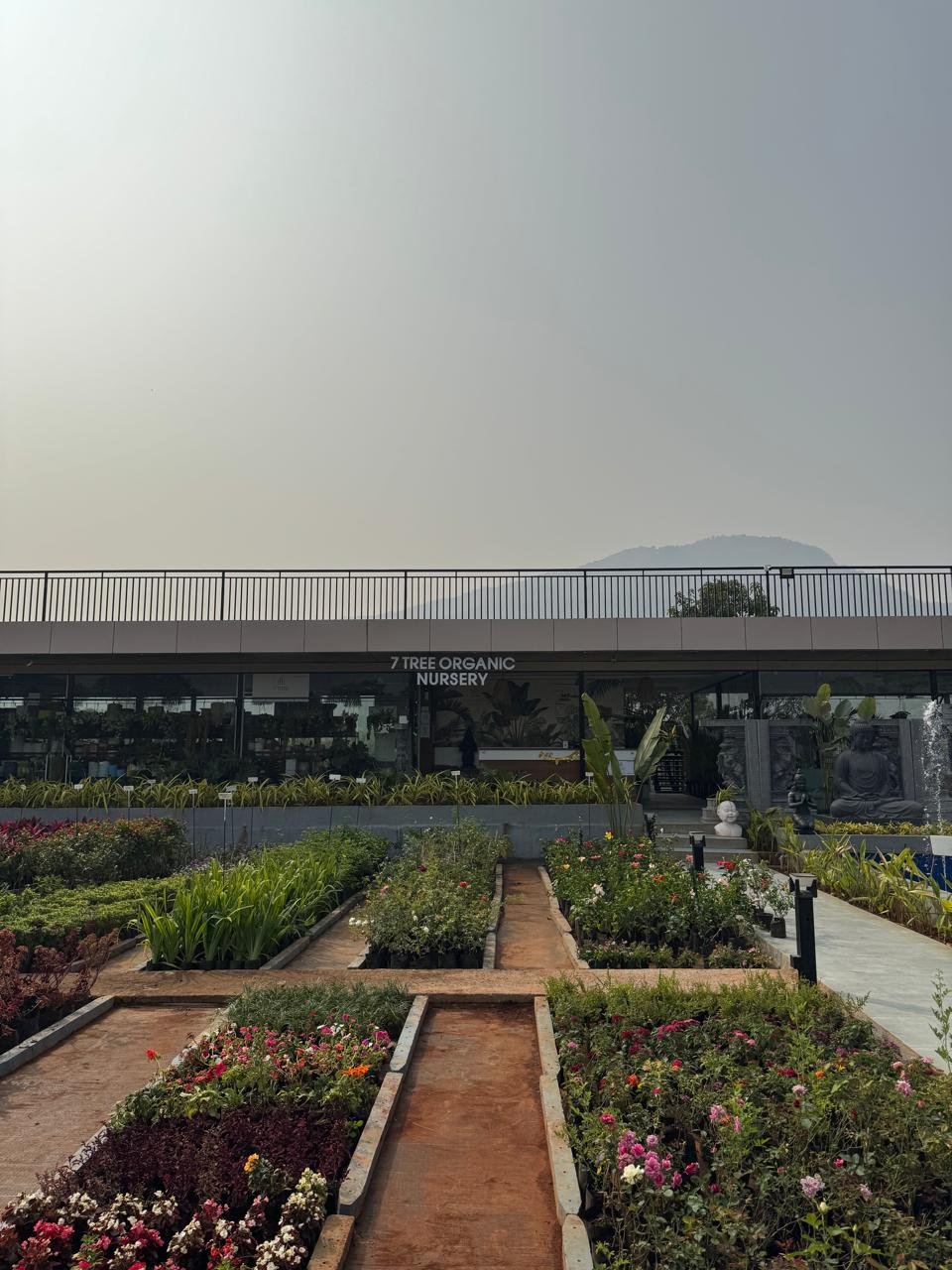 WhatsApp Image 2026-02-04 at 5.17.12 PM (3)