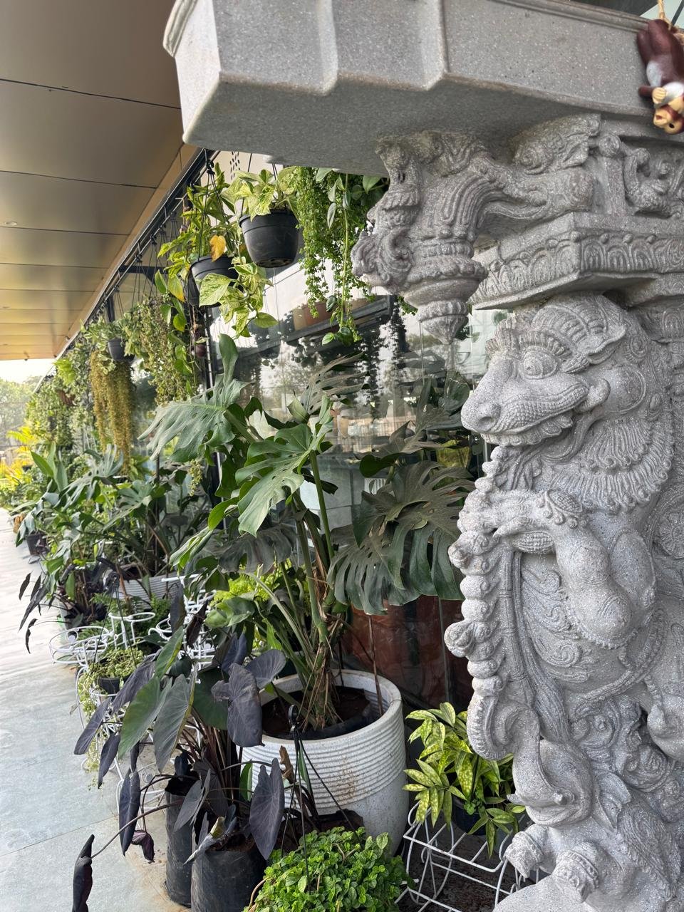 WhatsApp Image 2026-02-04 at 5.17.12 PM