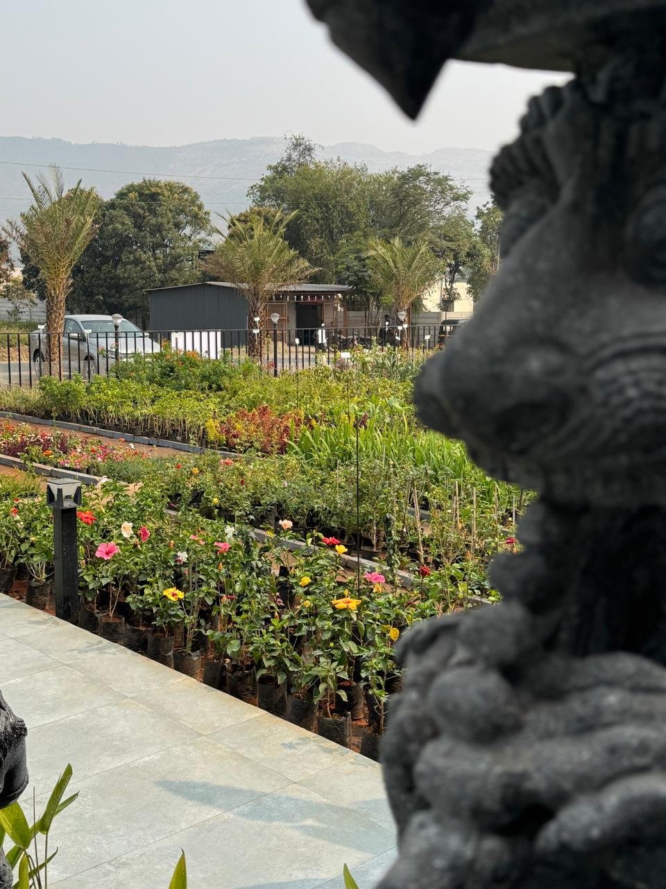 WhatsApp Image 2026-02-04 at 5.17.14 PM (2)