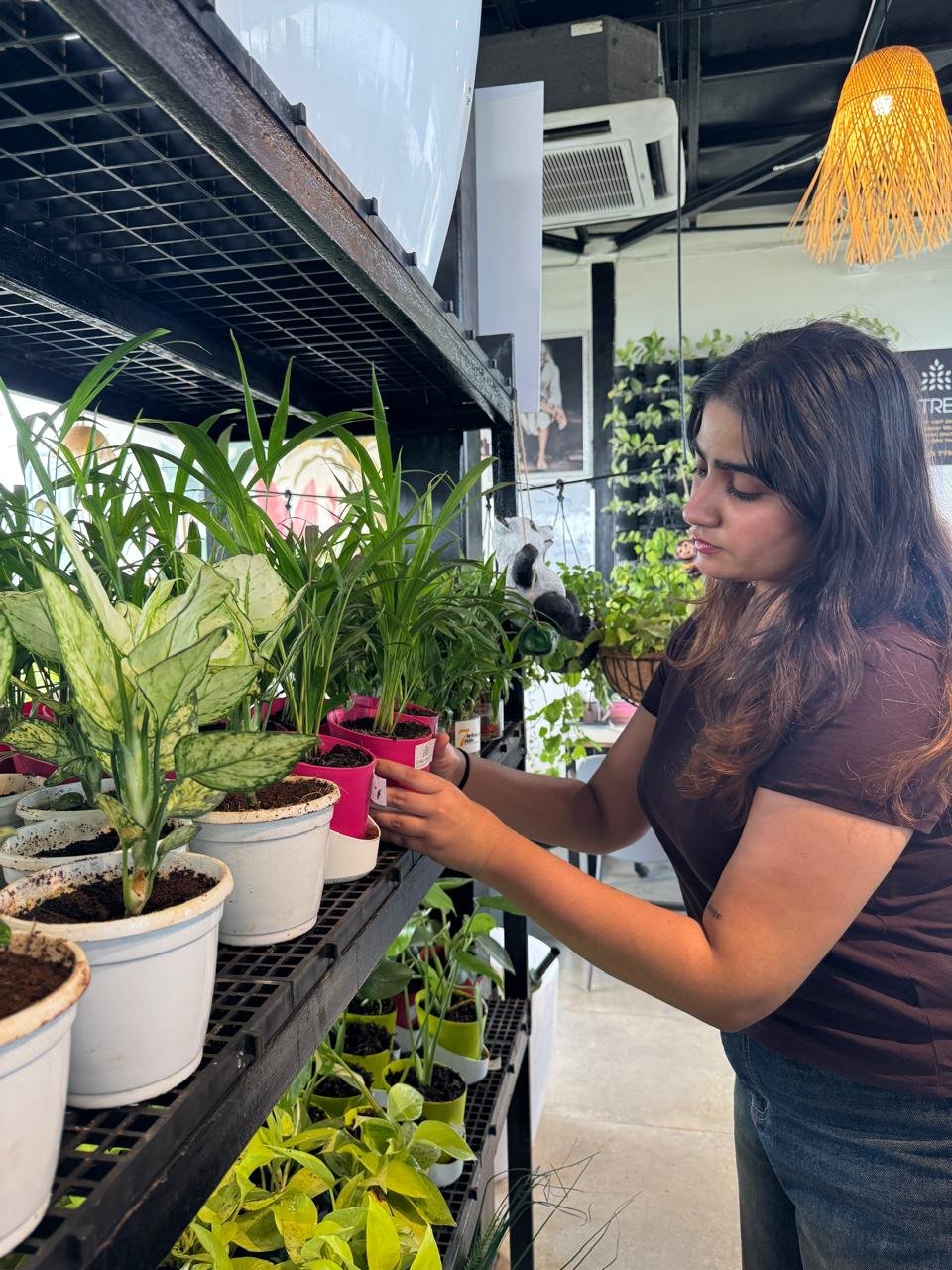 WhatsApp Image 2026-02-04 at 5.17.15 PM