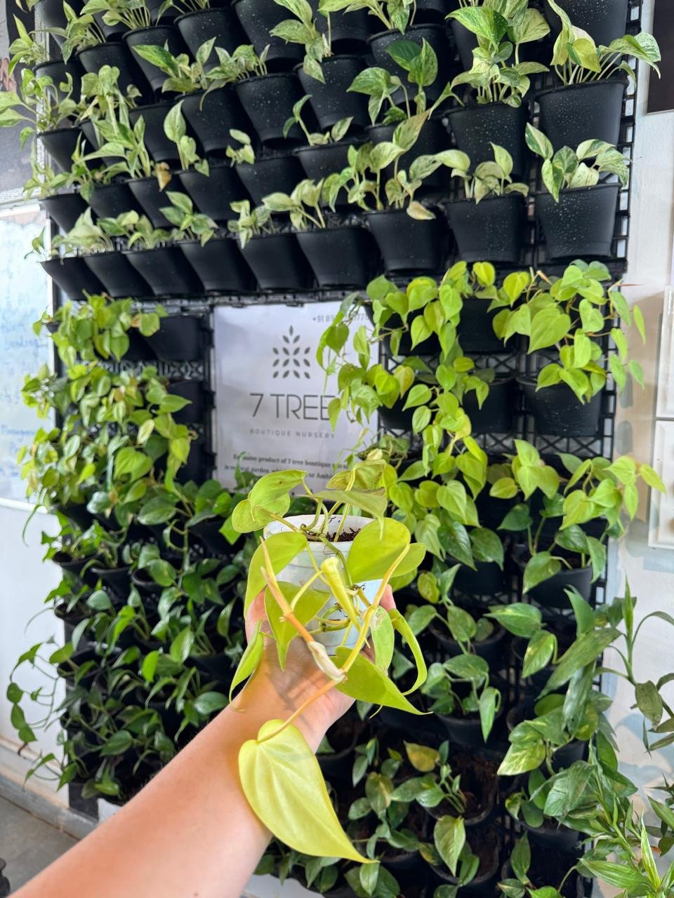 WhatsApp Image 2026-02-04 at 5.17.16 PM (1)