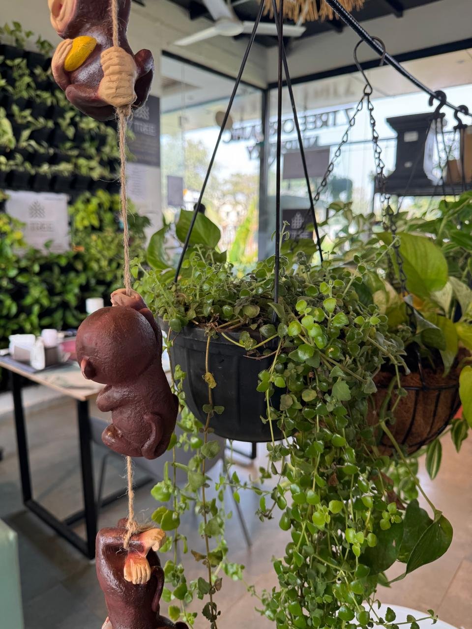 WhatsApp Image 2026-02-04 at 5.17.16 PM (3)