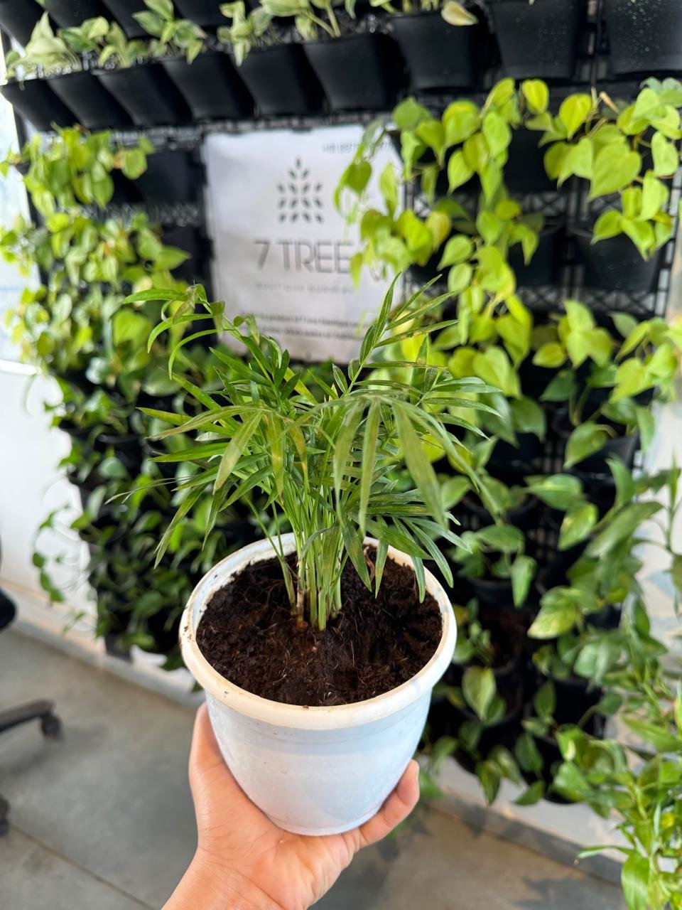 WhatsApp Image 2026-02-04 at 5.17.16 PM