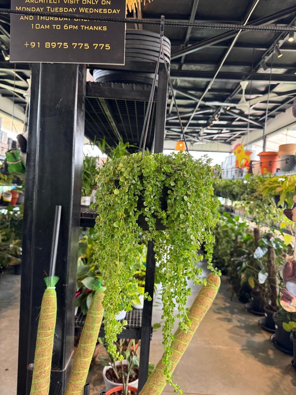 WhatsApp Image 2026-02-04 at 5.17.17 PM (1)