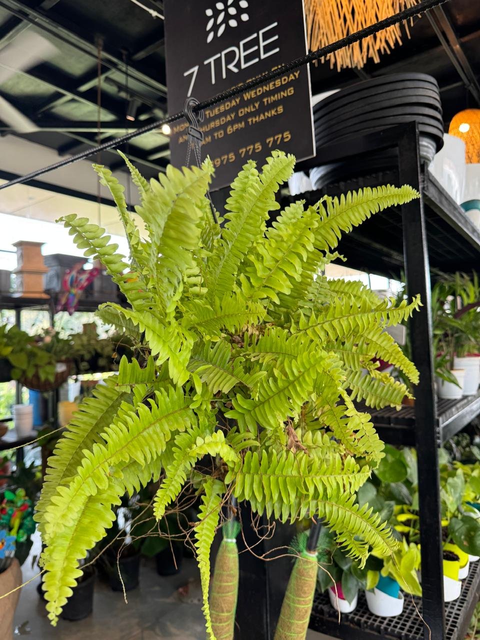 WhatsApp Image 2026-02-04 at 5.17.17 PM (2)