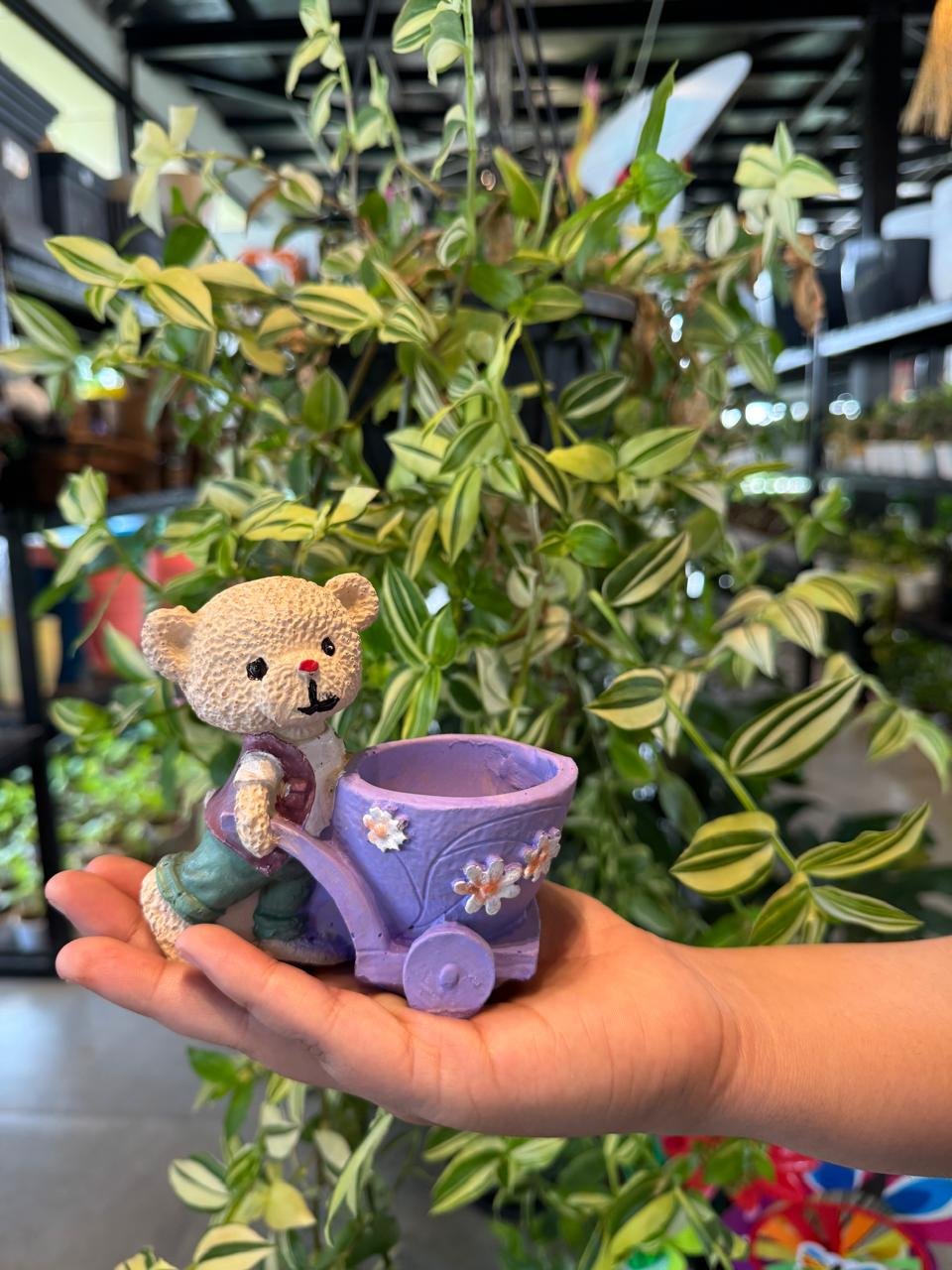 WhatsApp Image 2026-02-04 at 5.17.17 PM