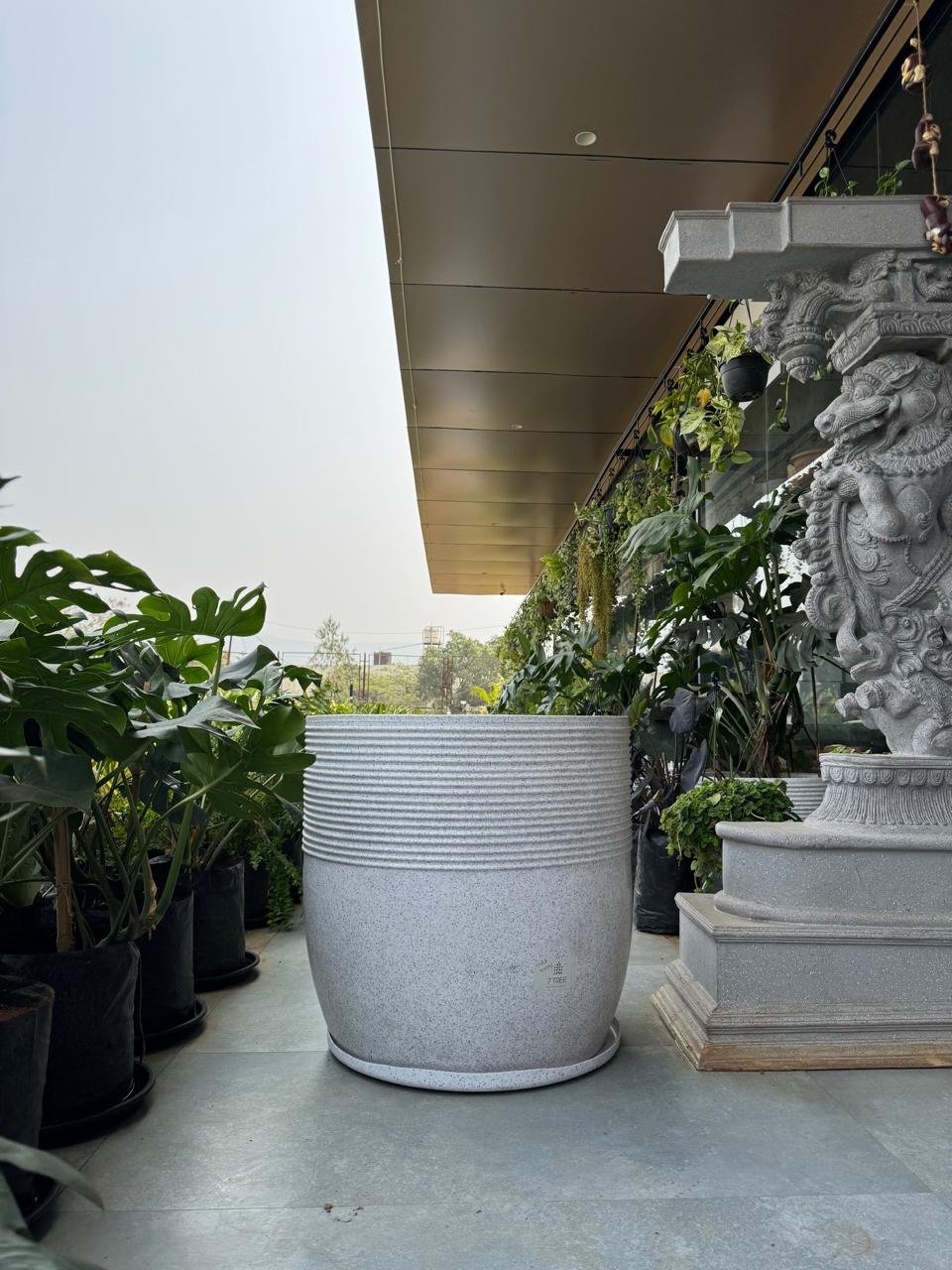 WhatsApp Image 2026-02-04 at 5.17.18 PM (1)