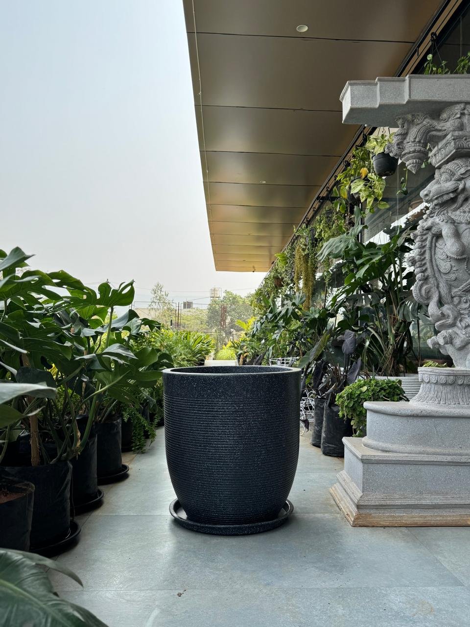 WhatsApp Image 2026-02-04 at 5.17.18 PM