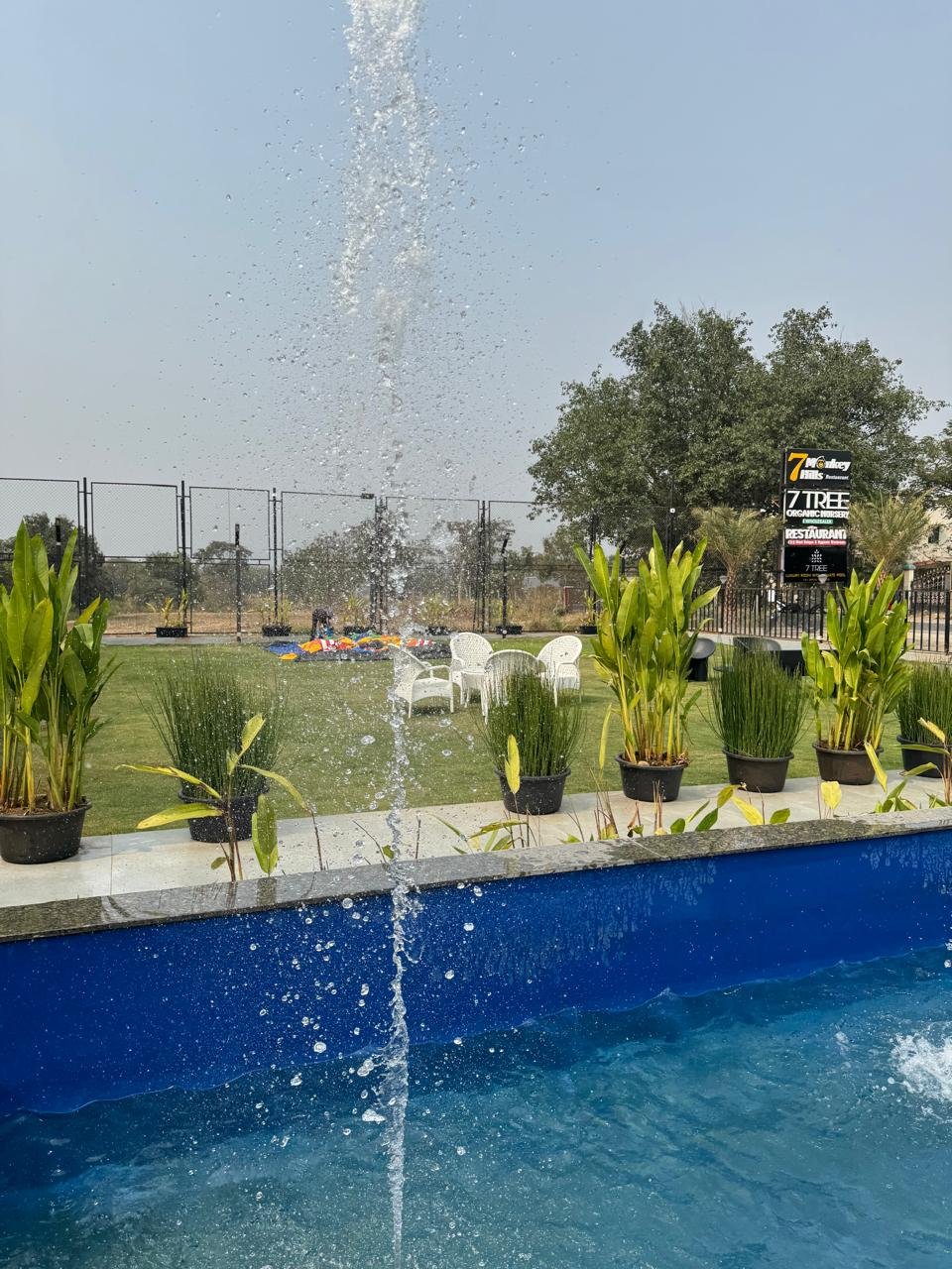 WhatsApp Image 2026-02-04 at 5.17.19 PM (1)