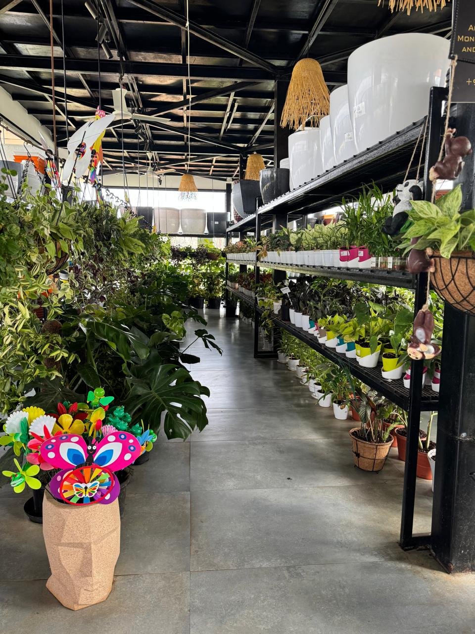 WhatsApp Image 2026-02-04 at 5.17.20 PM (1)